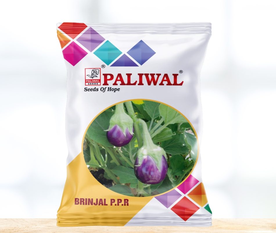 Brinjal PPR