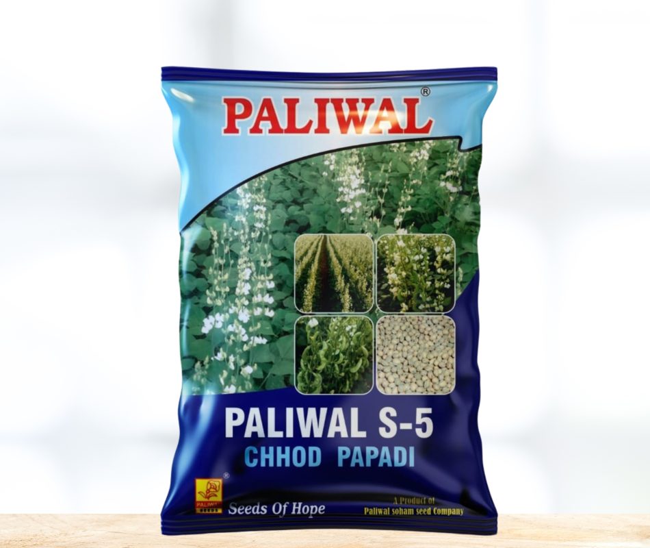 Chhod papadi S-5