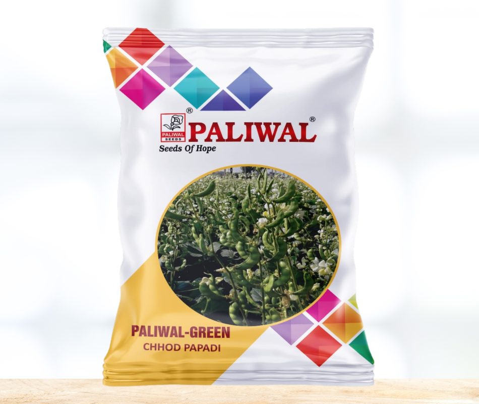 Chhod papadi