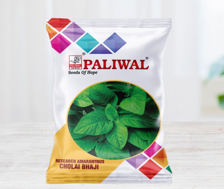 Cholai bhaji