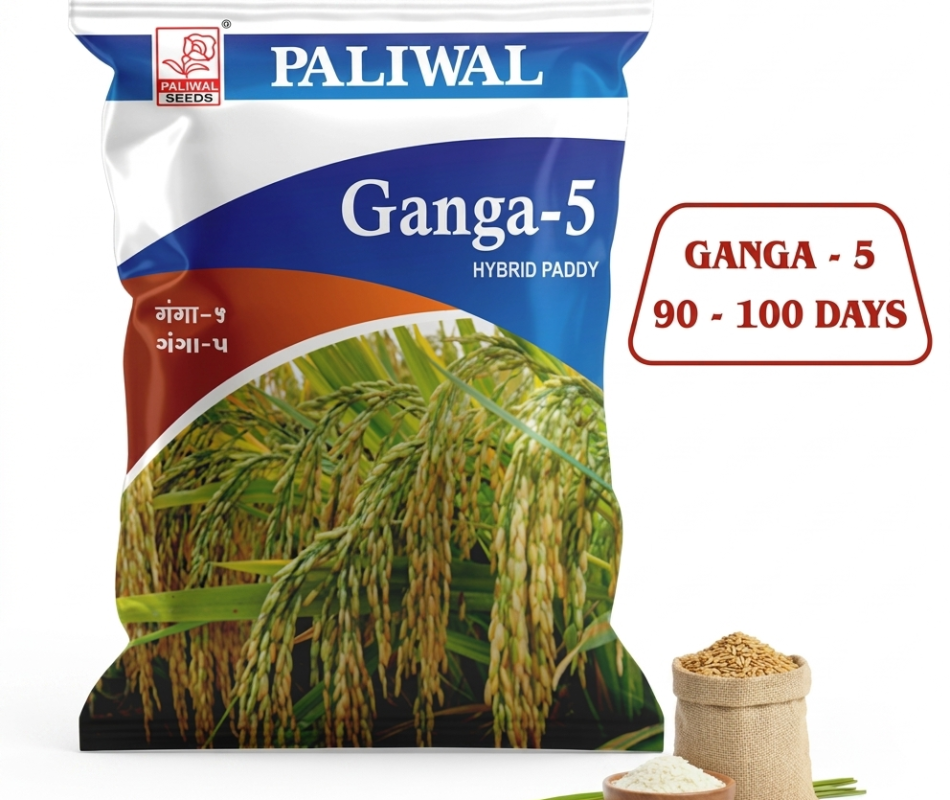 Ganga 5