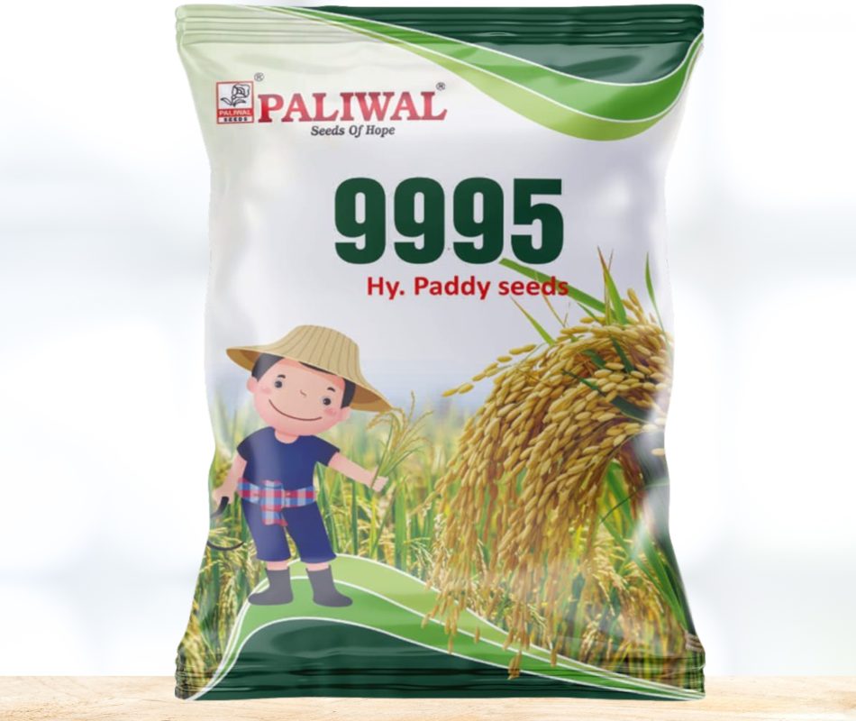 Paddy seeds