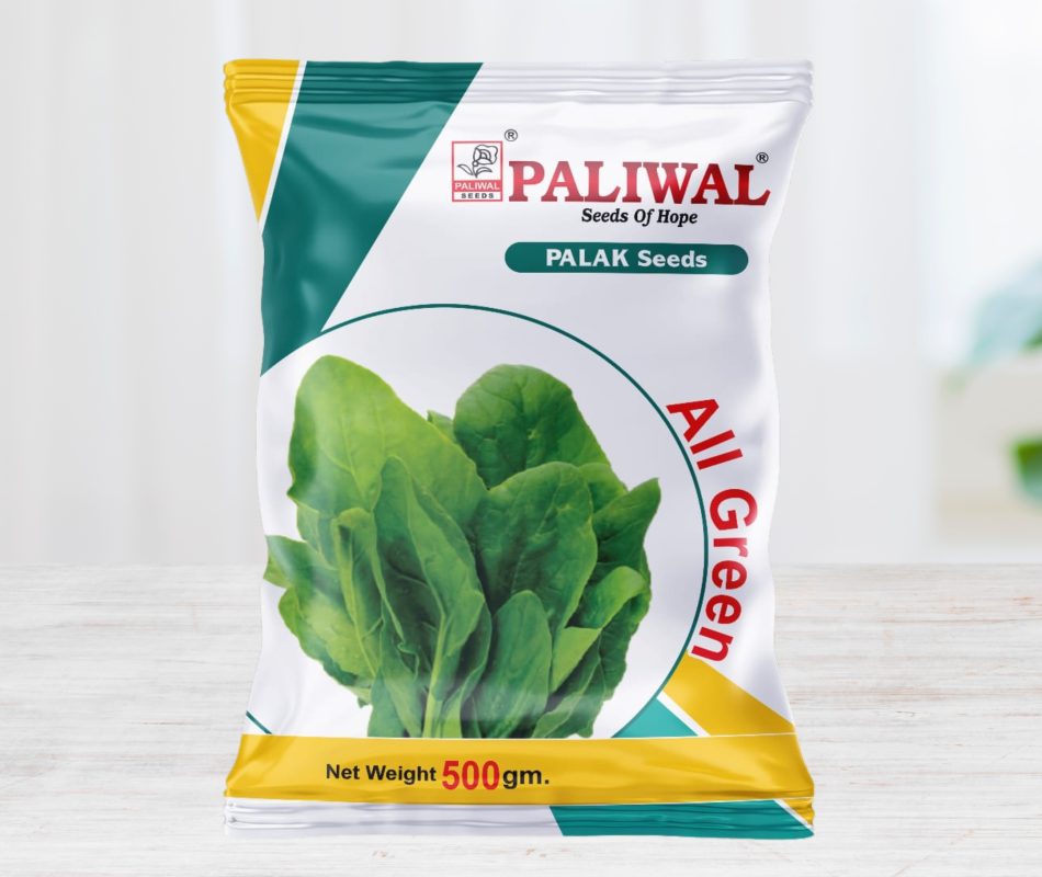 Palak seeds