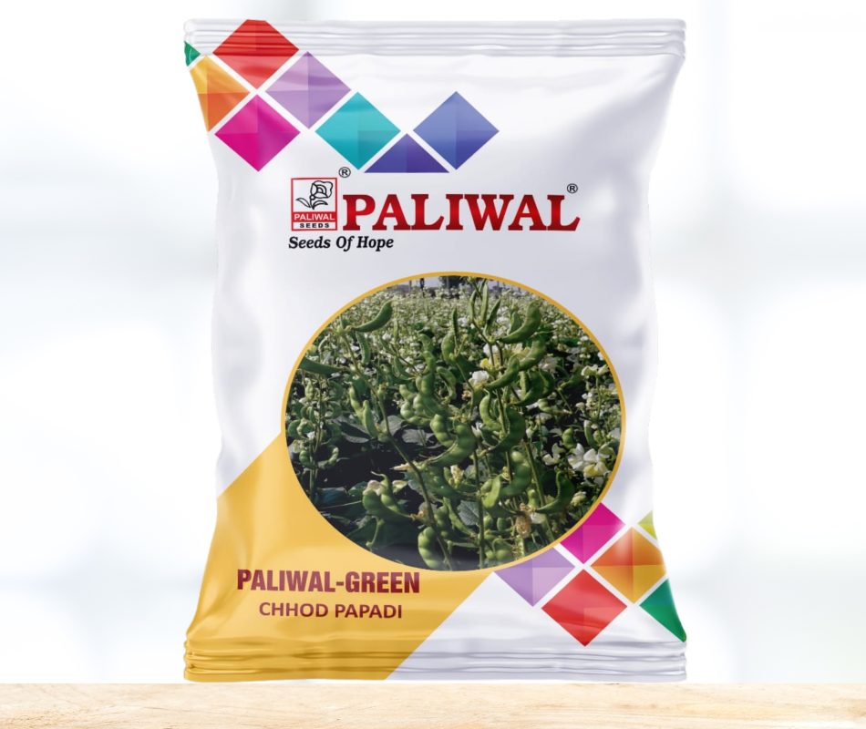 Paliwal green chhod papadi