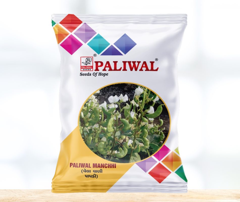 Paliwal manchhi
