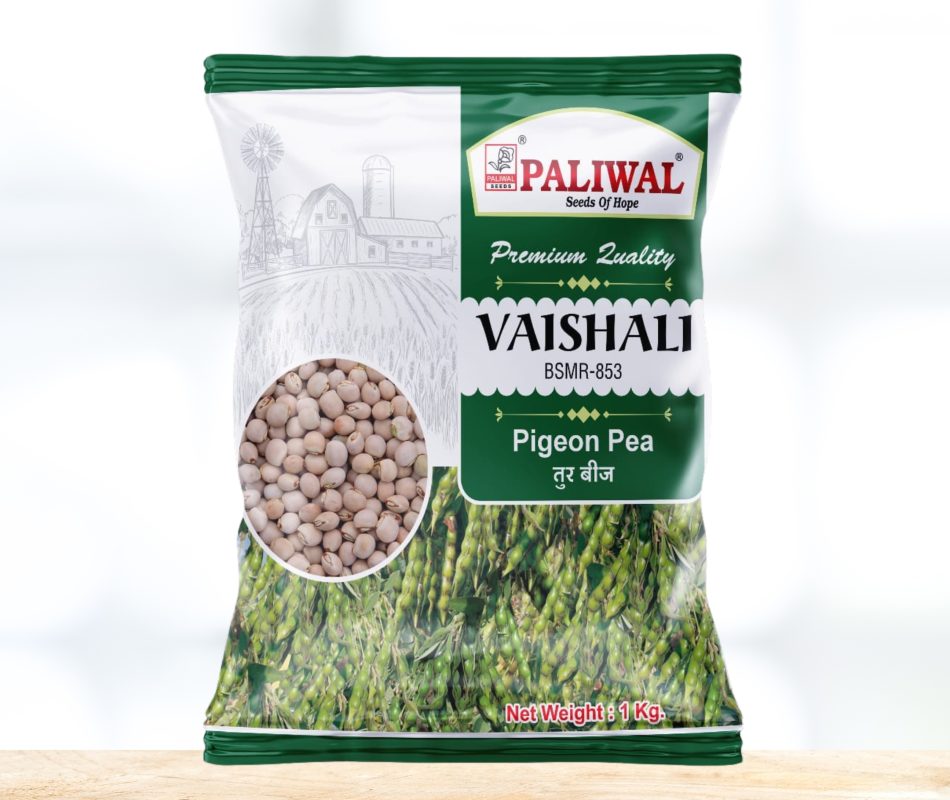 Pigeon pea vaishali