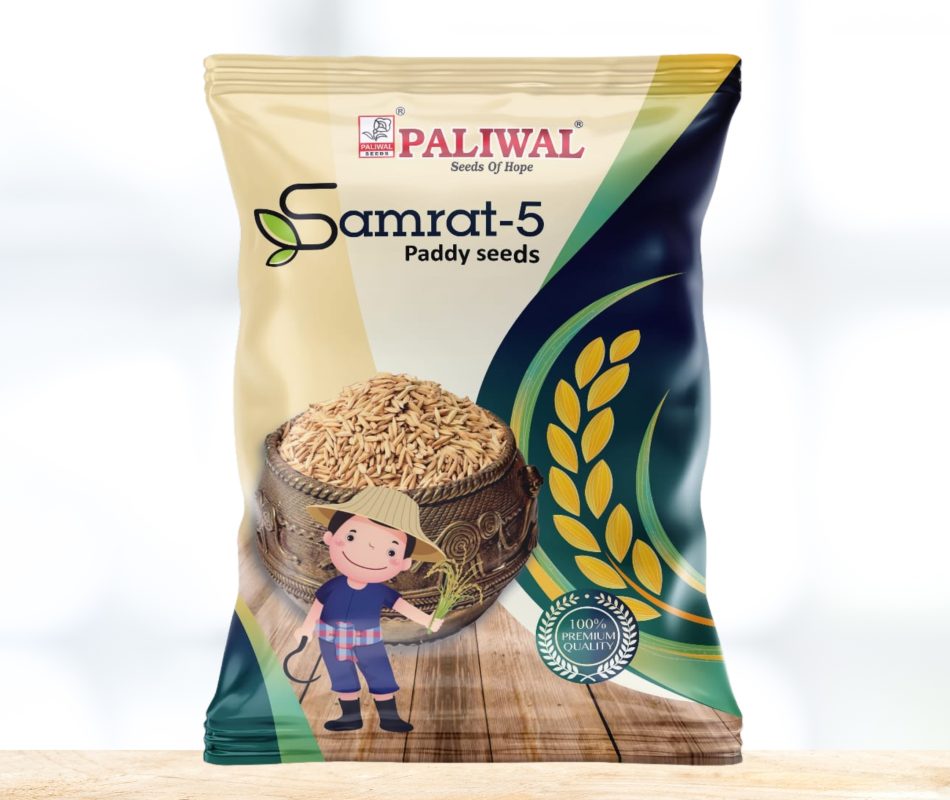 Smarat-5 paddy seeds