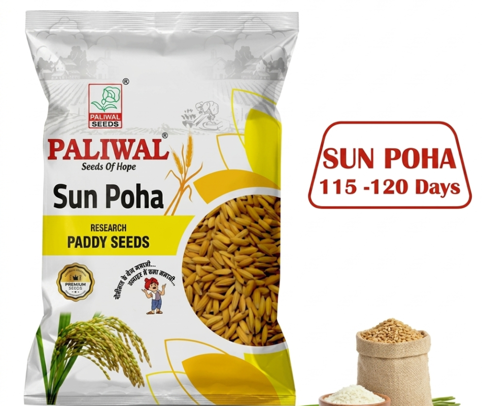 Sun Poha